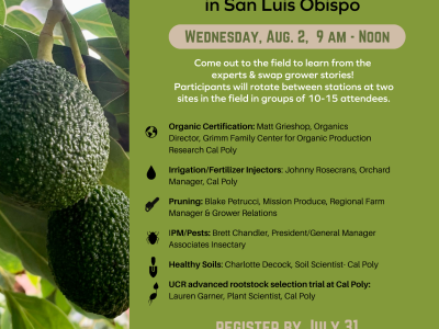 California avocado growers are invited to attend a free California Avocado Society workshop in the field at Cal Poly, San Luis Obispo.