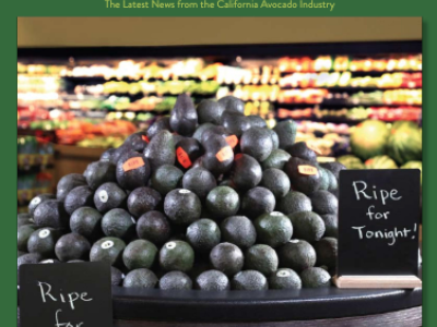 The Winter 2021 issue of From the Grove is now available on the California avocado growers website.